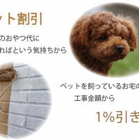画像279