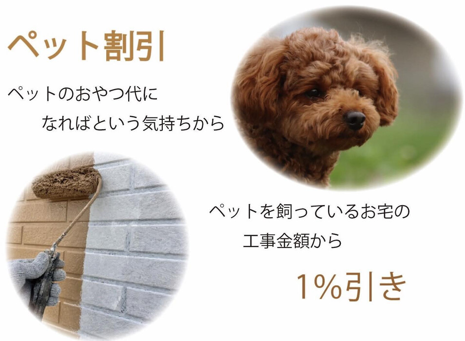 画像279