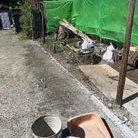 画像282