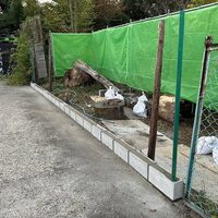 画像283