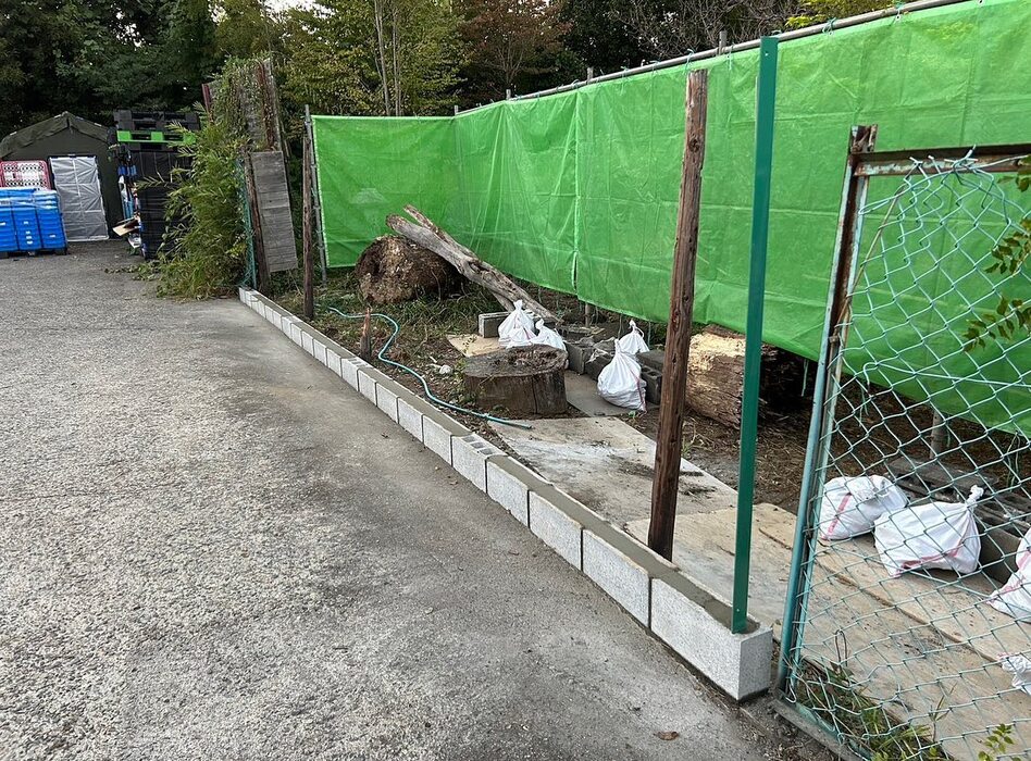 画像283