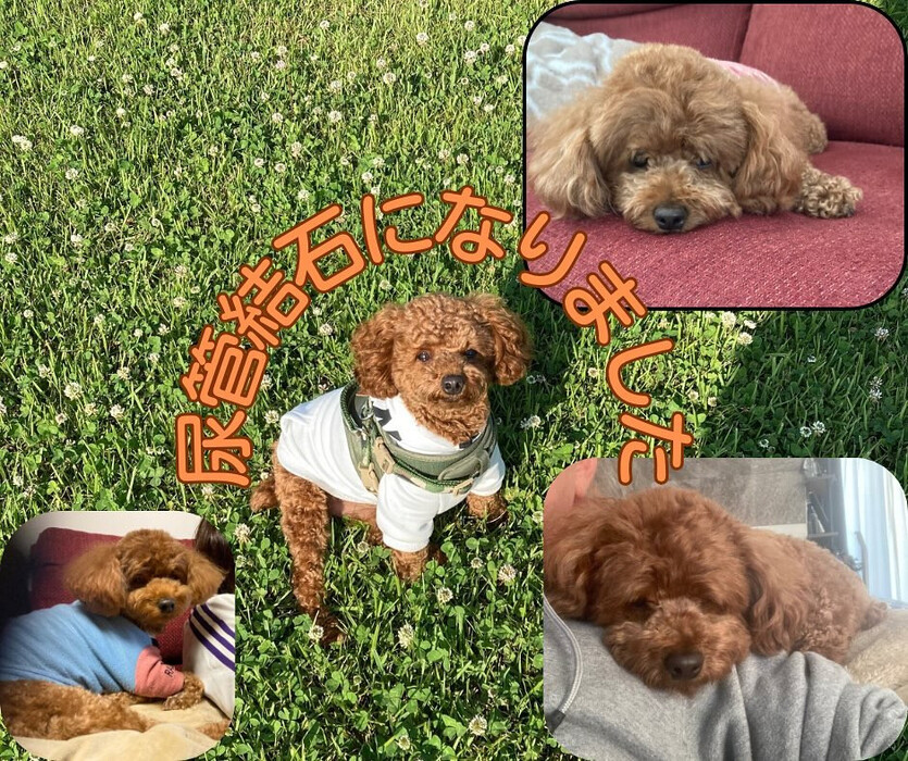 画像519