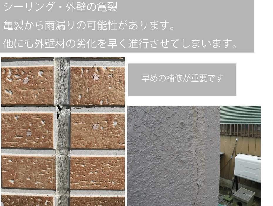 画像524