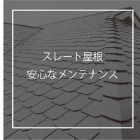 画像528