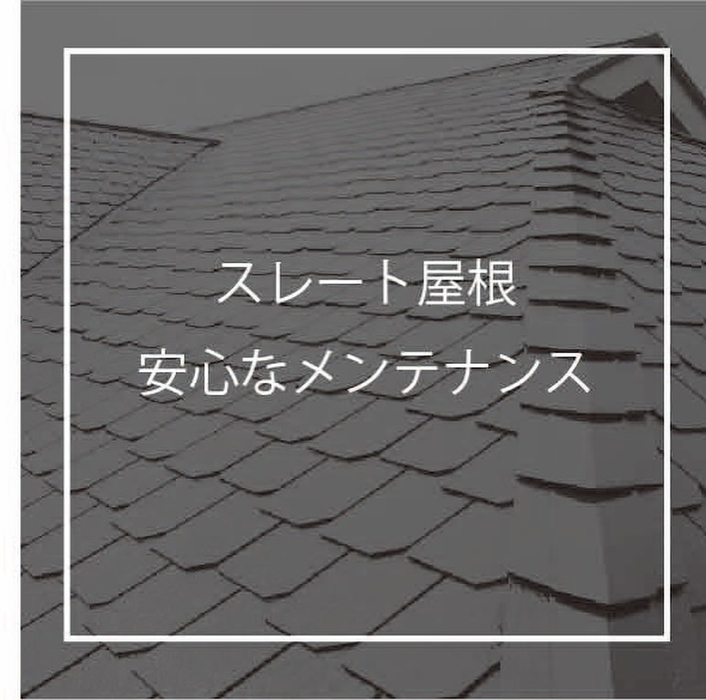 画像528