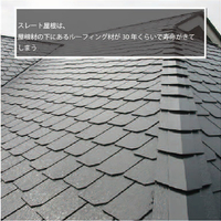 画像529