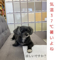 画像535