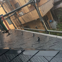 画像808